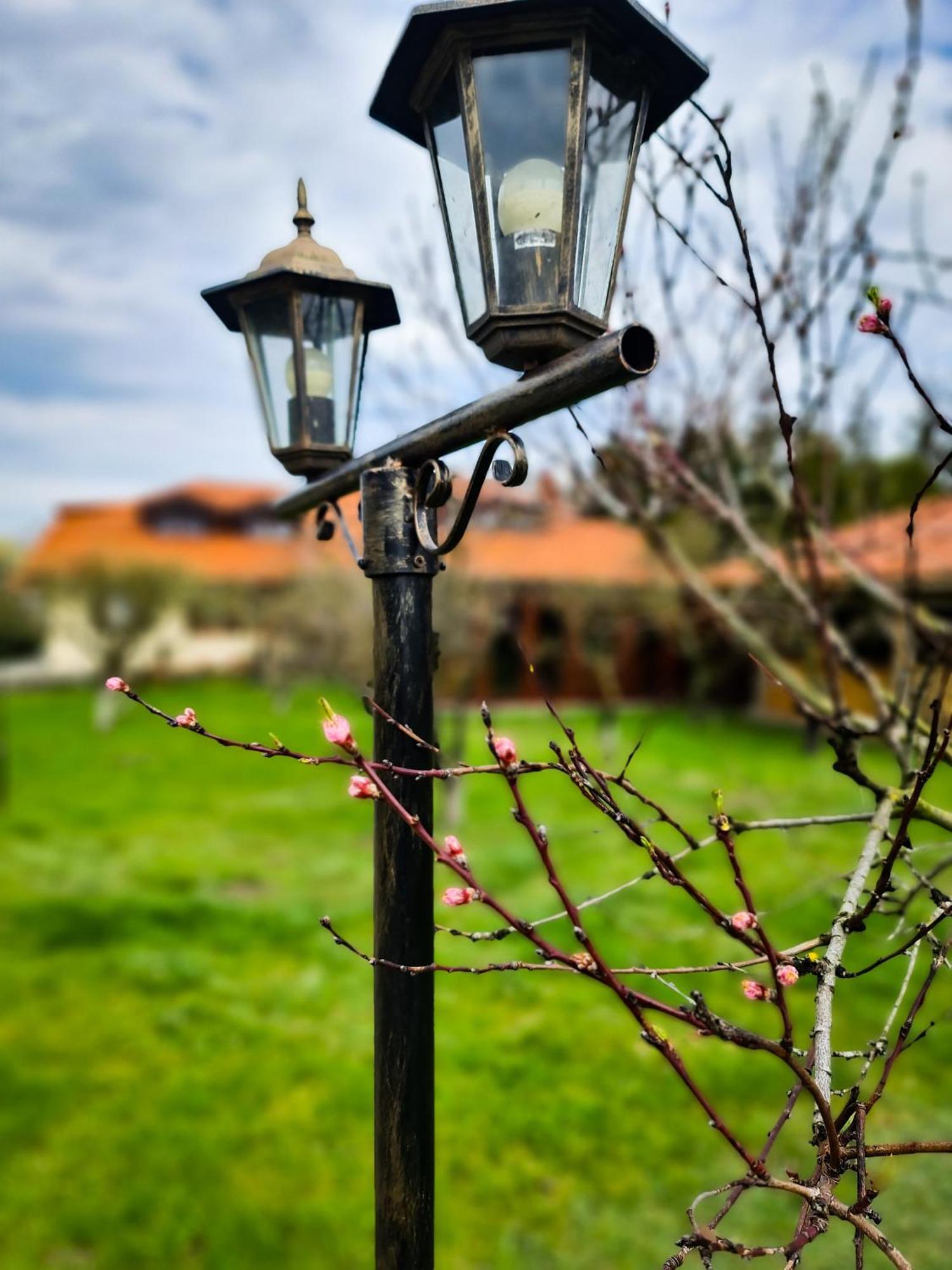 Gosciniec Gryszczeniowka & Spa Wargowo Экстерьер фото