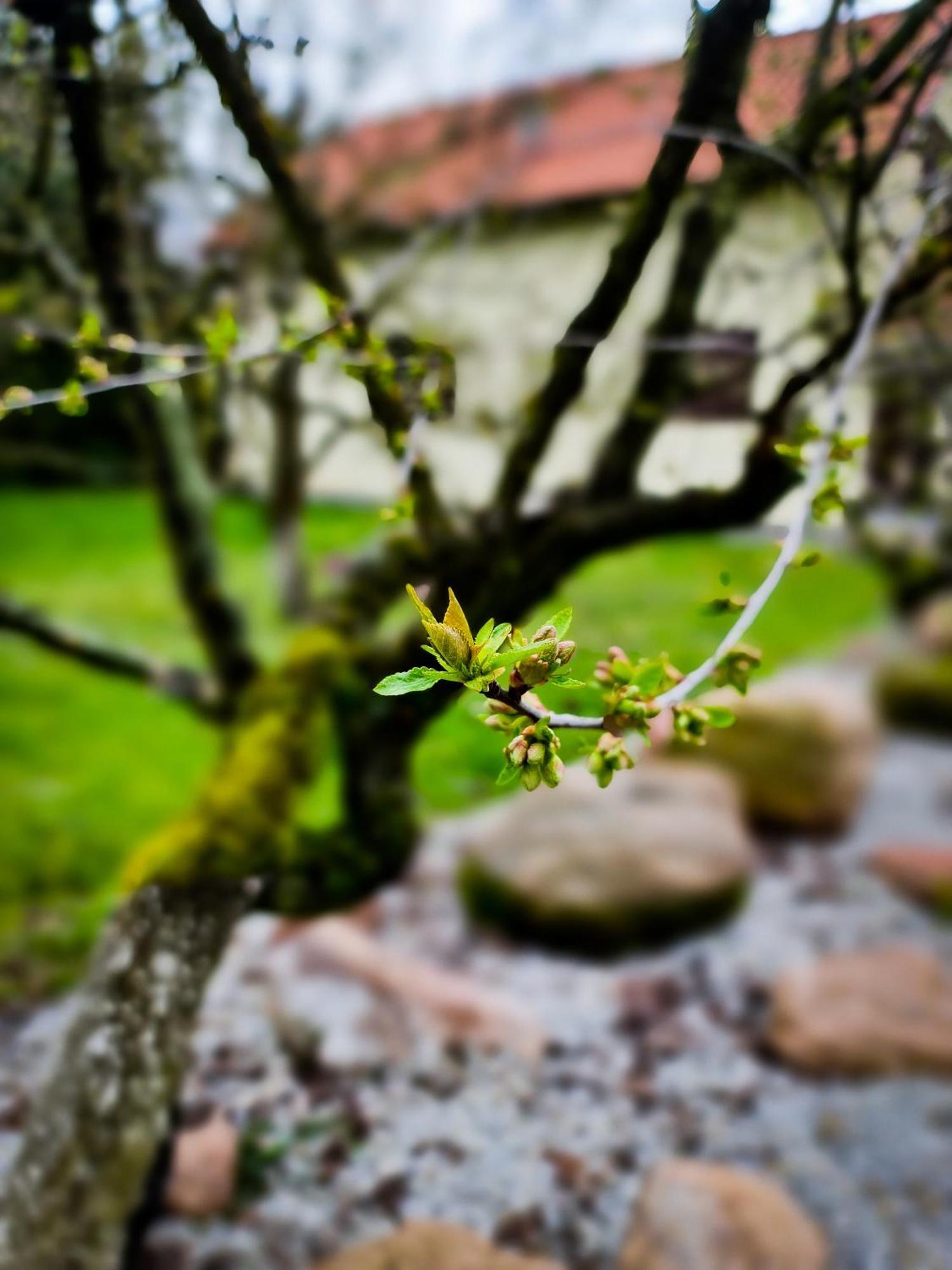 Gosciniec Gryszczeniowka & Spa Wargowo Экстерьер фото